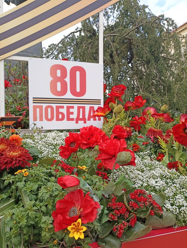 Предпраздничная Москва. - Pippa Предпраздничная Москва. - Pippa