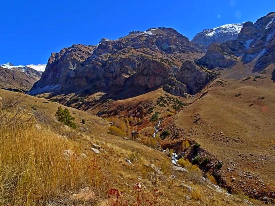 ПО ДОРОГЕ ДОМОЙ. - Виктор Осипчук