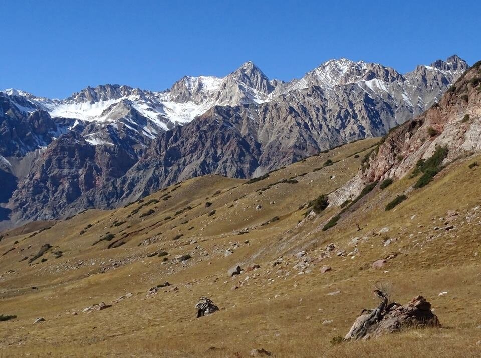 ПО ДОРОГЕ ДОМОЙ. - Виктор Осипчук ПО ДОРОГЕ ДОМОЙ. - Виктор Осипчук