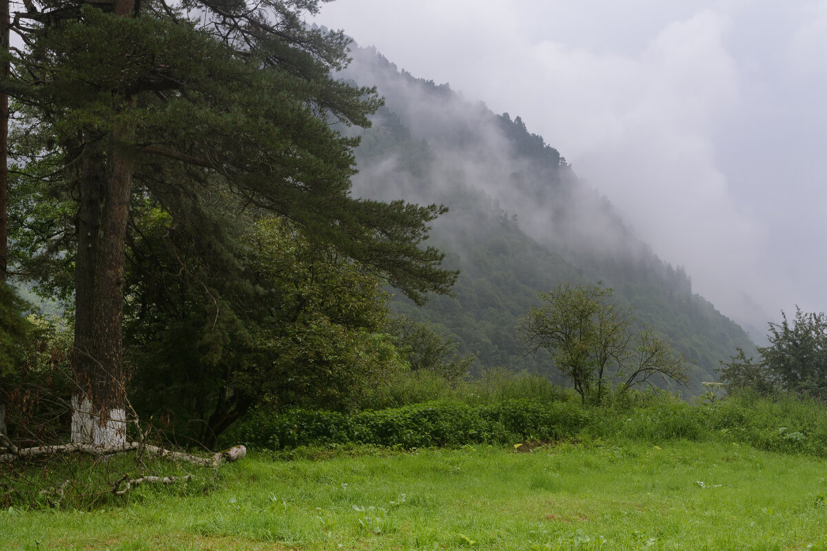 ... - Сергей Лысенко