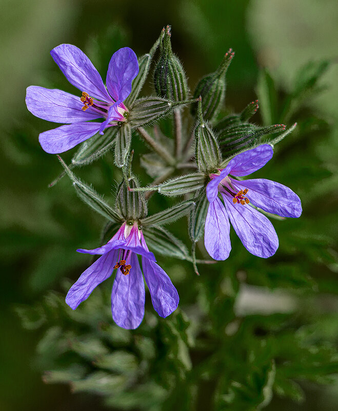 В середине весны - Юрий Яловенко В середине весны - Юрий Яловенко