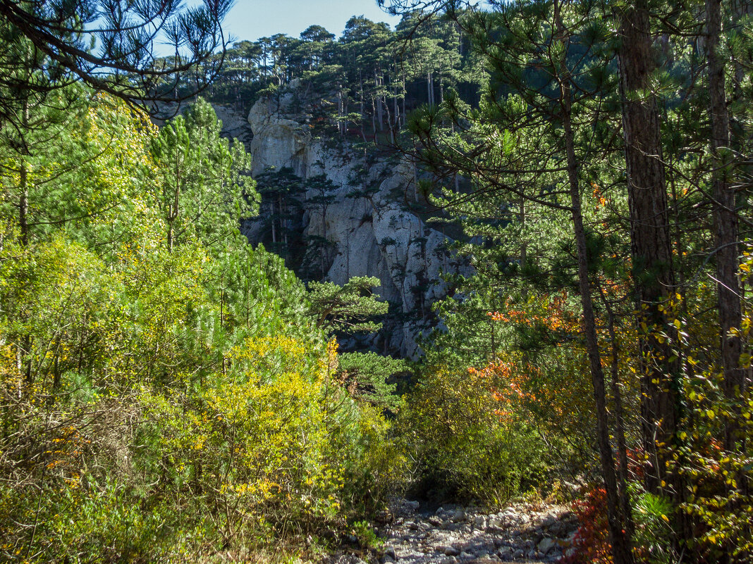 По горным тропам - Варвара По горным тропам - Варвара