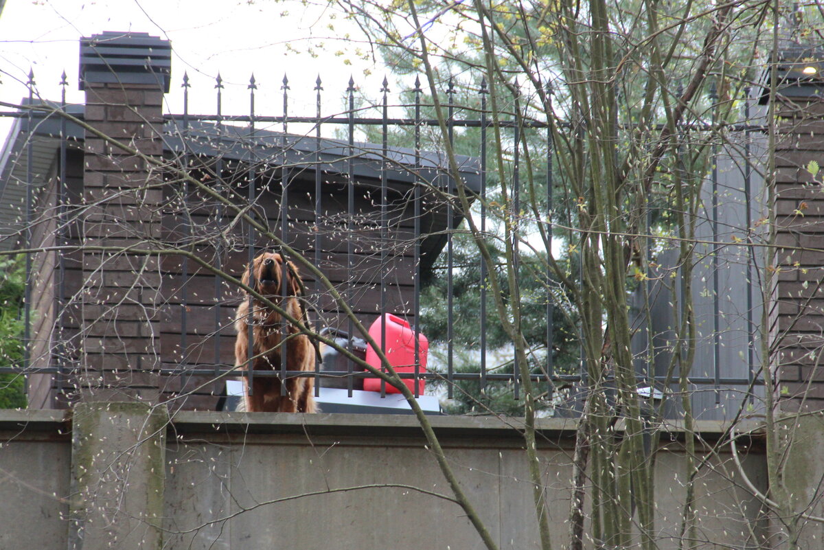 Юкки - Елена Минина