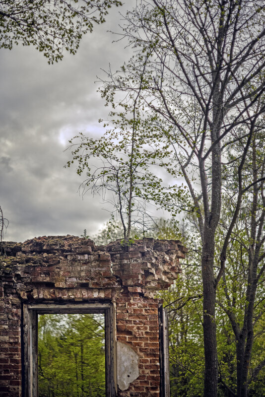 Деревце на островке - sorovey Sol Деревце на островке - sorovey Sol