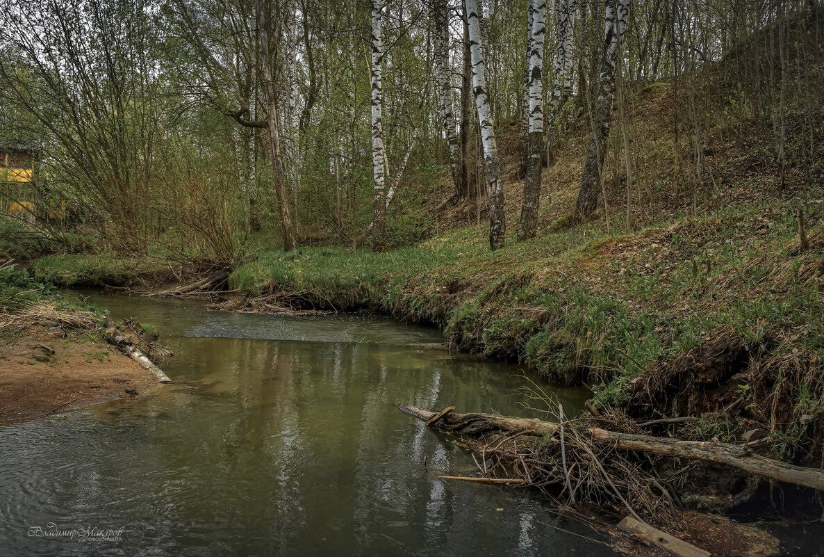 "Весна на речке. Наносы"© - Владимир Макаров
