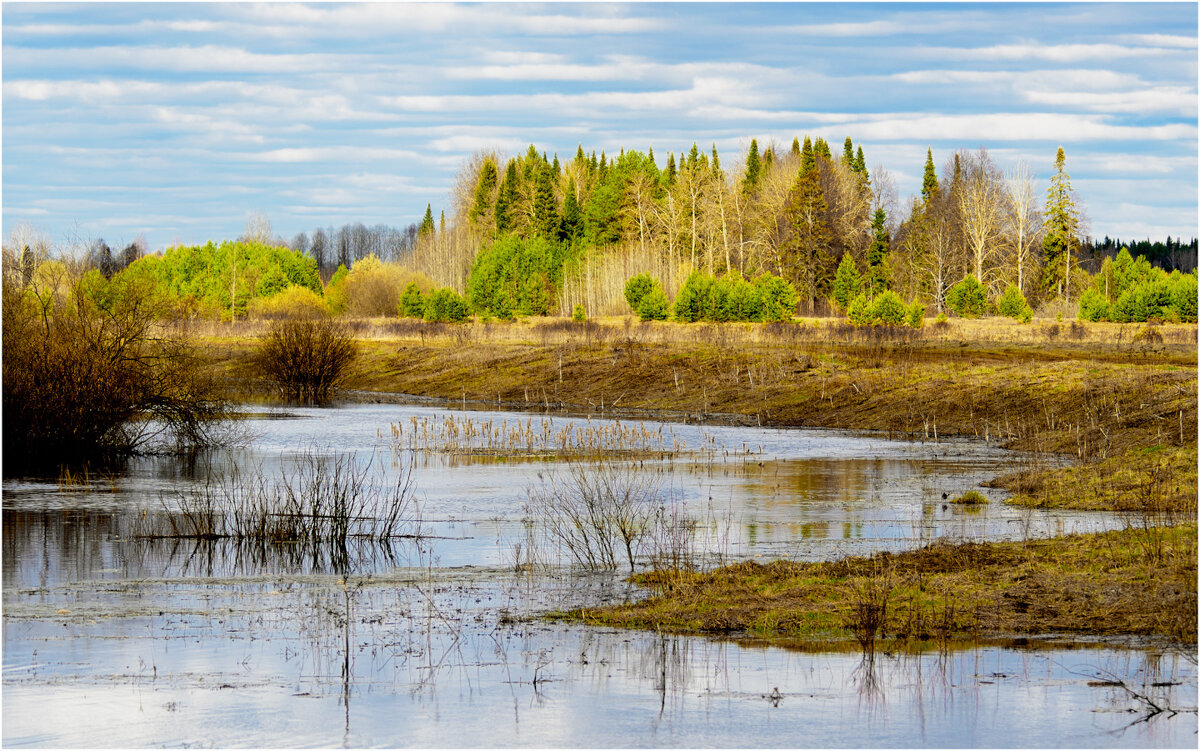Весенний этюд - Валентин Котляров