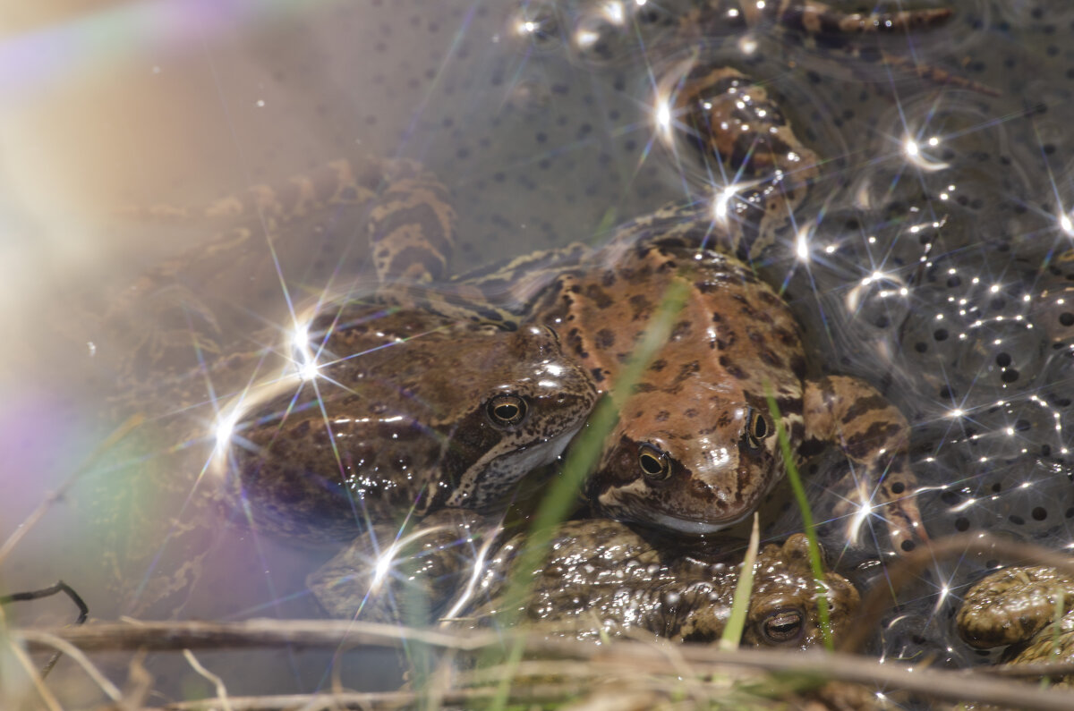 Опекая будущее - Lyubov Busova