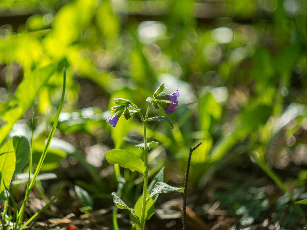 ___ - Yuriy V ___ - Yuriy V