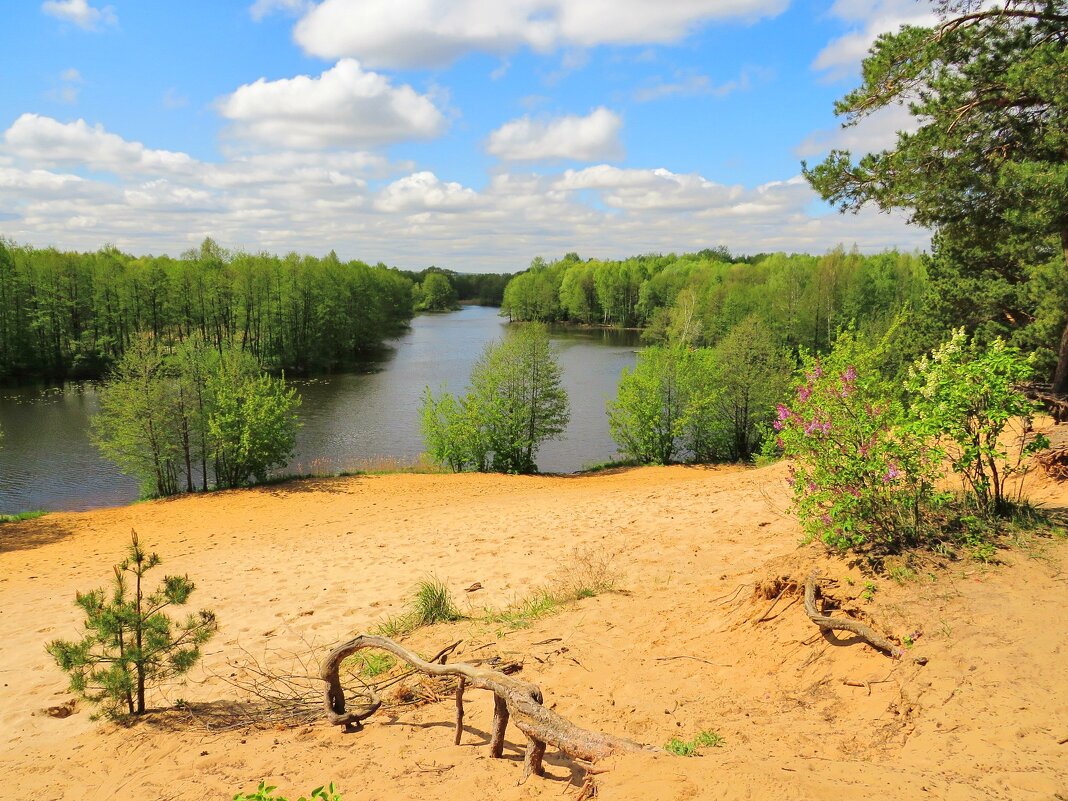 Песчаный берег озера - Андрей Снегерёв Песчаный берег озера - Андрей Снегерёв
