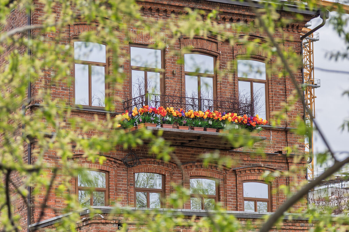 Балкончик - Aleksey Zaikin Балкончик - Aleksey Zaikin