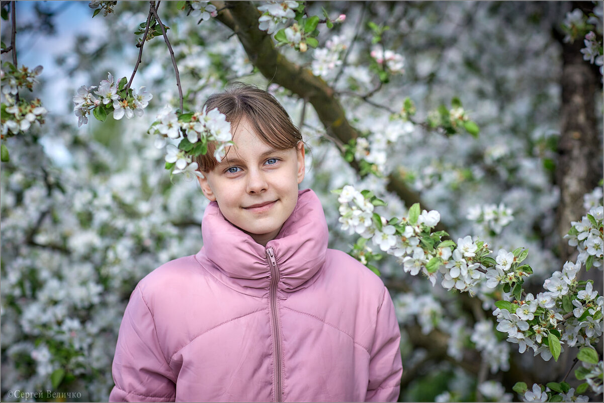 * * * - Сергей Величко