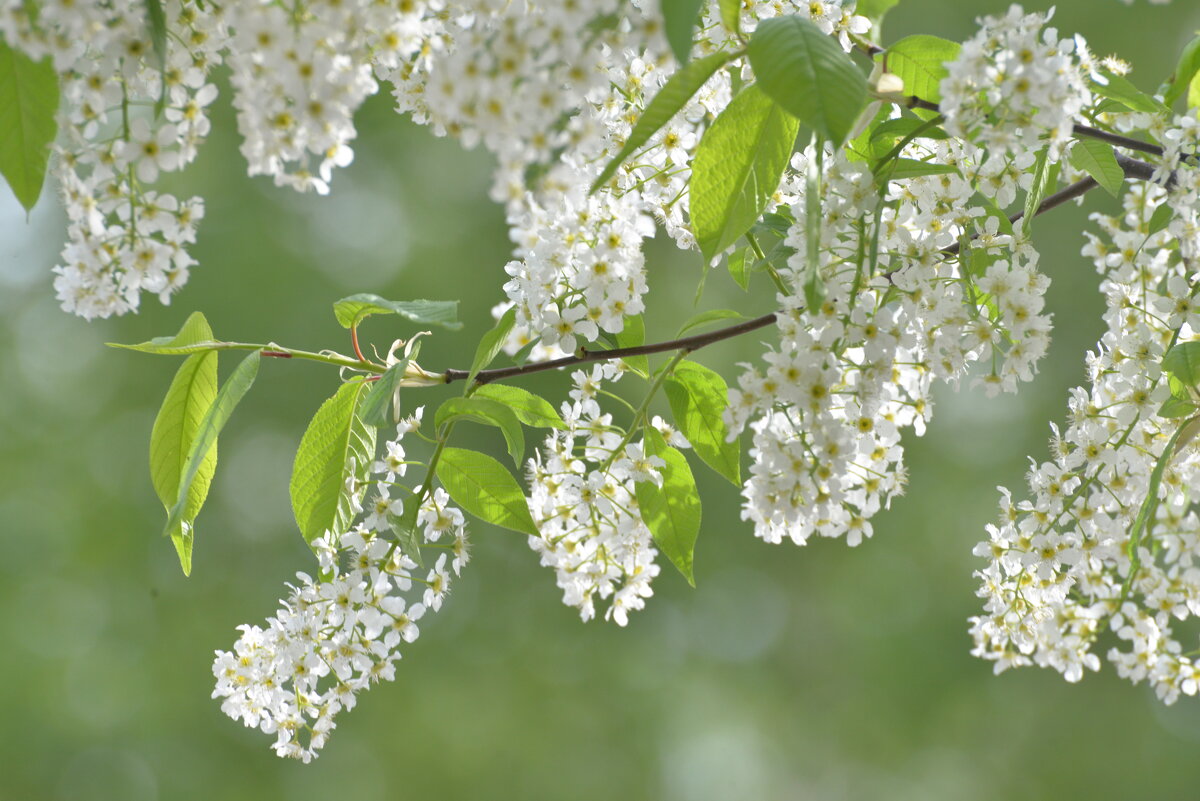 9 мая 2025 - Алексей Короткевич