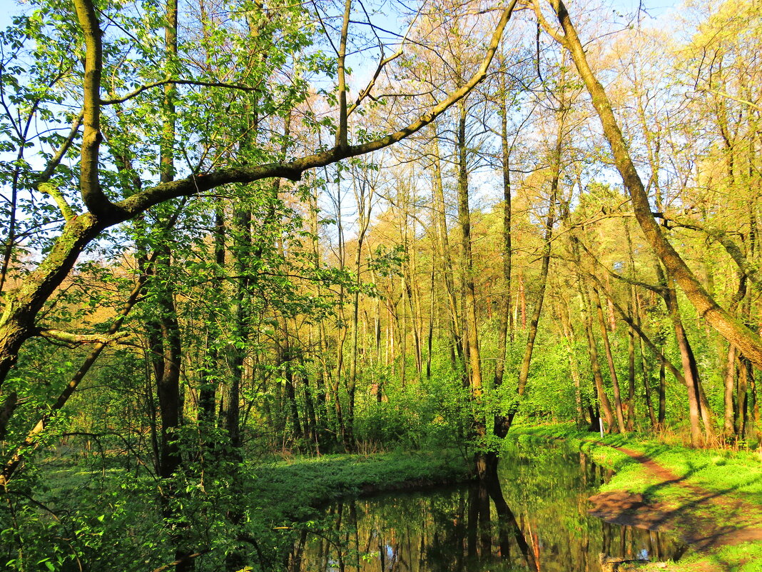 Весенним утром - Андрей Снегерёв