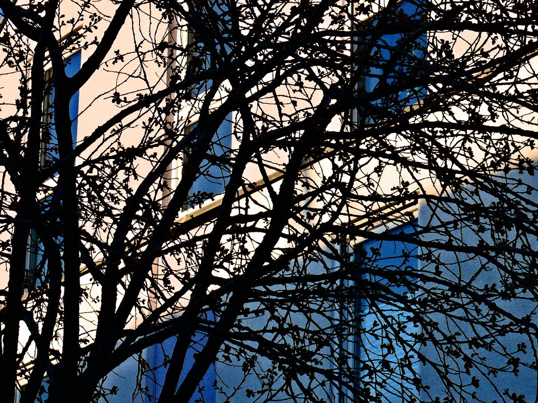 Весенние зарисовки 124 - Алексей Кузнецов