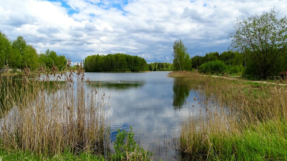 Смоленщина в мае - Милешкин Владимир Алексеевич Смоленщина в мае - Милешкин Владимир Алексеевич
