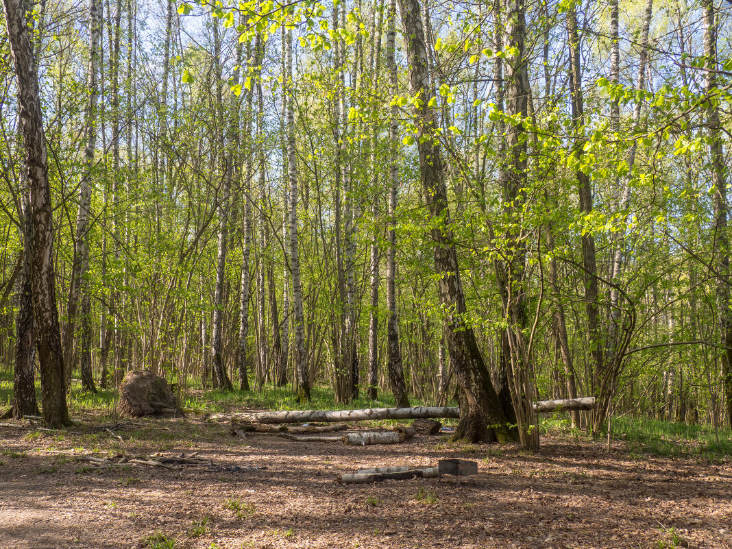 ___ - Yuriy V ___ - Yuriy V