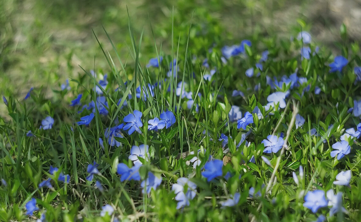 ... - Сергей Лысенко