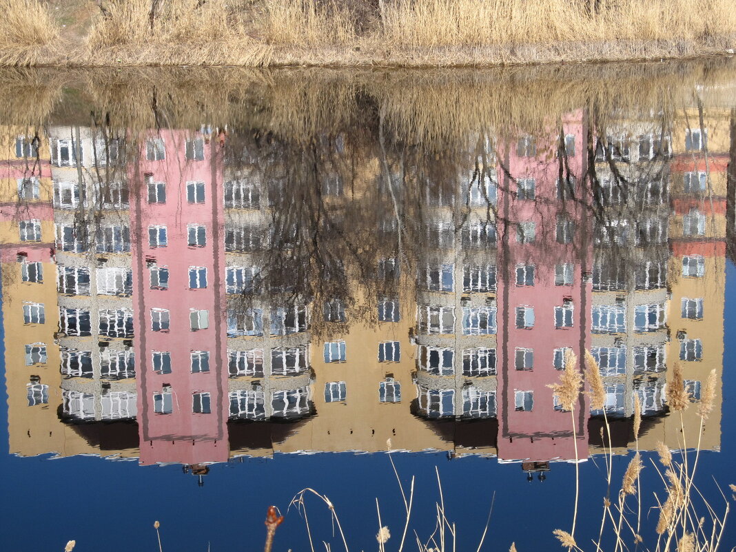 мир отражений - Елена Шаламова мир отражений - Елена Шаламова