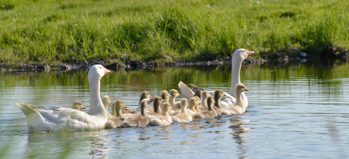 Детский садик. Водные процедуры ... - Maxxx©  