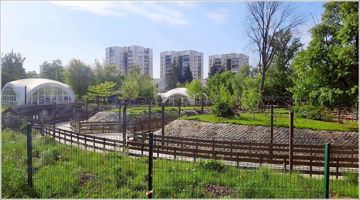 Роллерная дорожка - Сеня Белгородский Роллерная дорожка - Сеня Белгородский