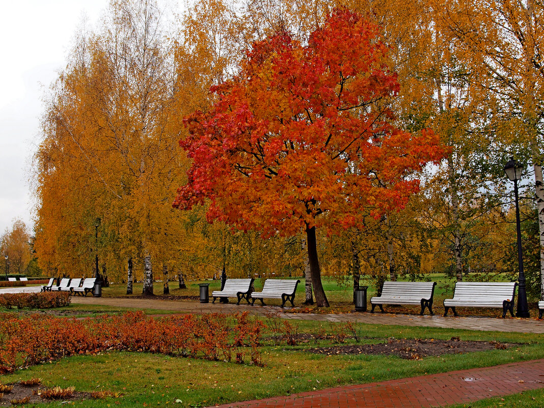 Царицыно - Игорь Белоногов