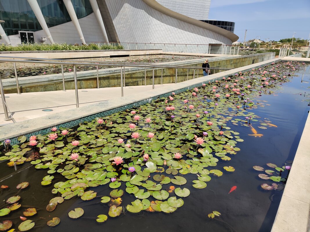 " - Светлана Хращевская