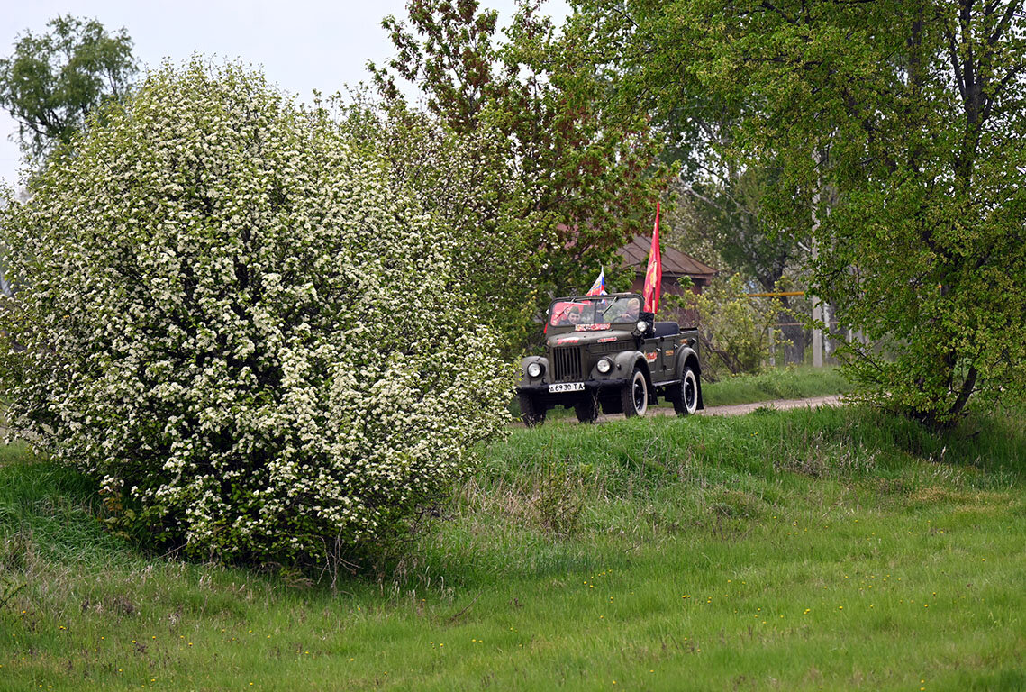 9 мая 2025 - Сергей 