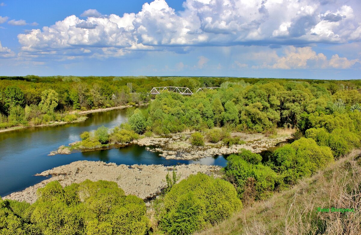 Природа Хопра. - Восковых Анна Васильевна 
