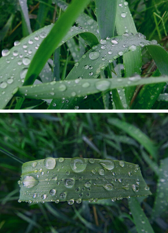 *** - Лера *** - Лера