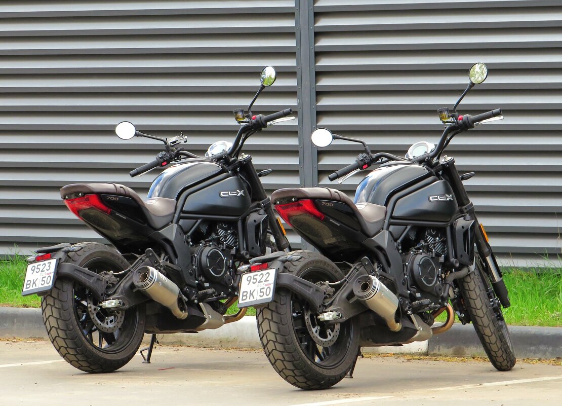 Близнецы - Андрей Снегерёв