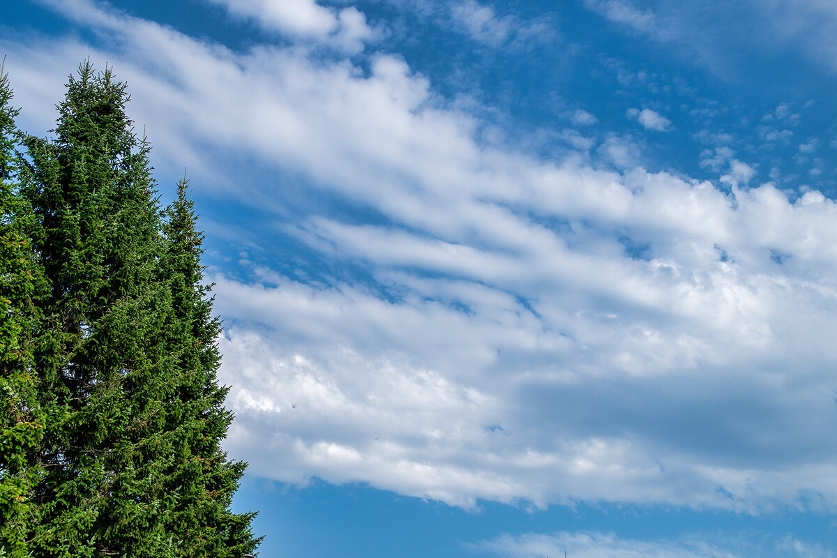 Облака - Oleg Tumakov