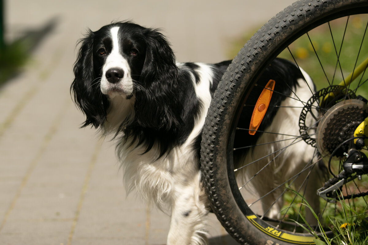 ожидание - Павел Кошалеф ожидание - Павел Кошалеф
