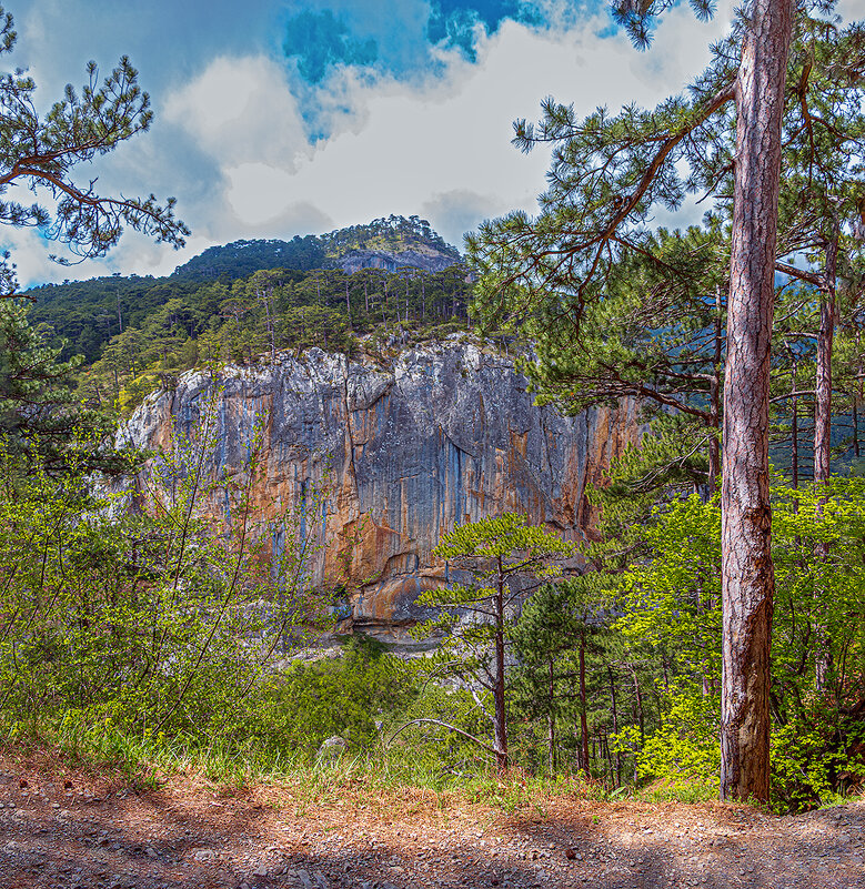 Палитра - Юрий Яловенко Палитра - Юрий Яловенко