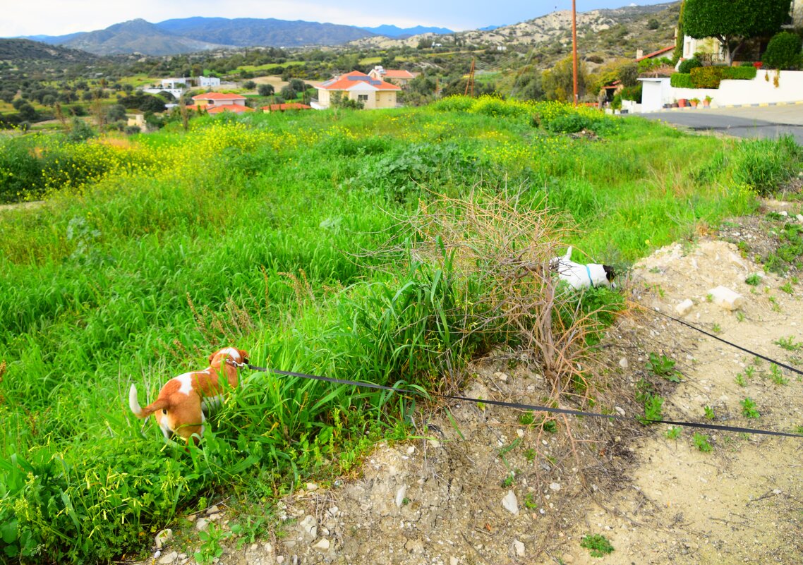Девочки - налево, мальчики - направо - Oleg4618 Шутченко