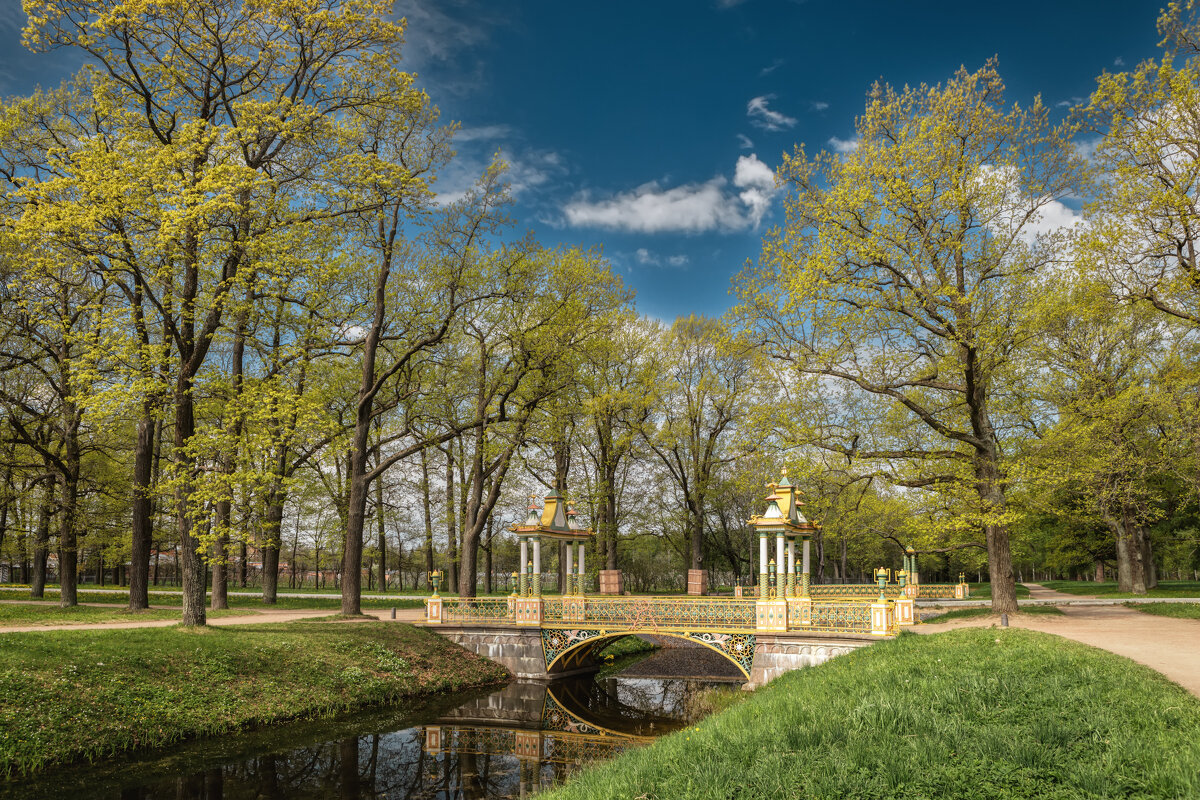Про Питер - Владимир Колесников