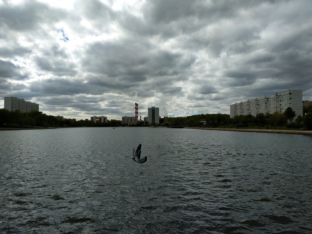 Москва майская - Андрей Лукьянов