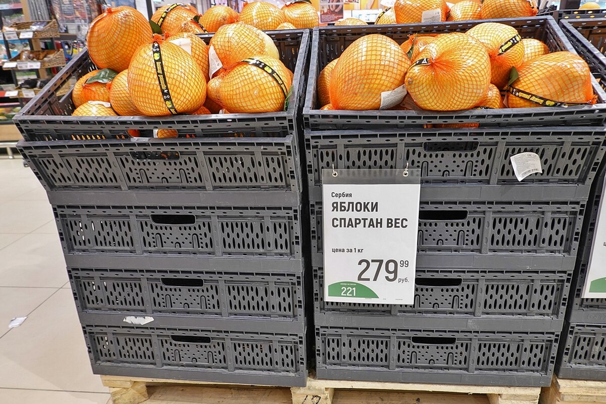 Такие вот яблоки крупные растут в Сербии - Валерий Иванович Такие вот яблоки крупные растут в Сербии - Валерий Иванович