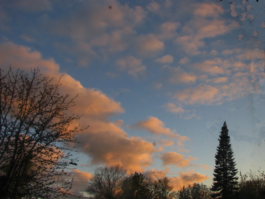 Майским вечером - Людмила Смородинская Майским вечером - Людмила Смородинская