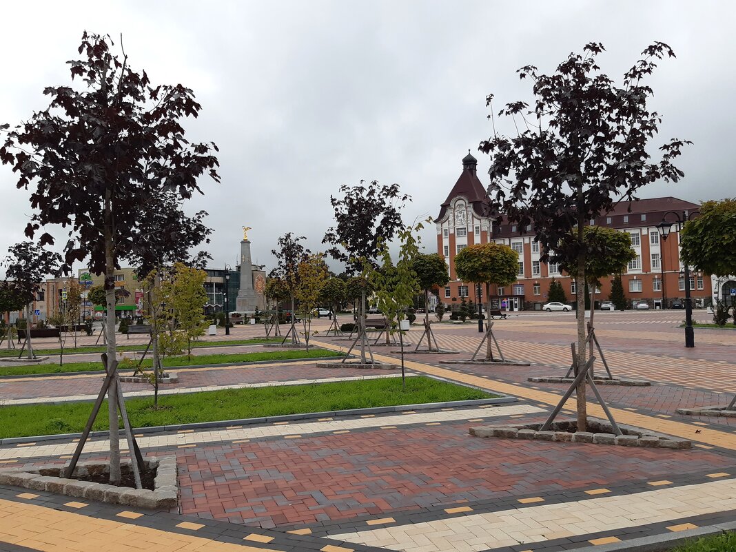 Гусев - Галина Минчук