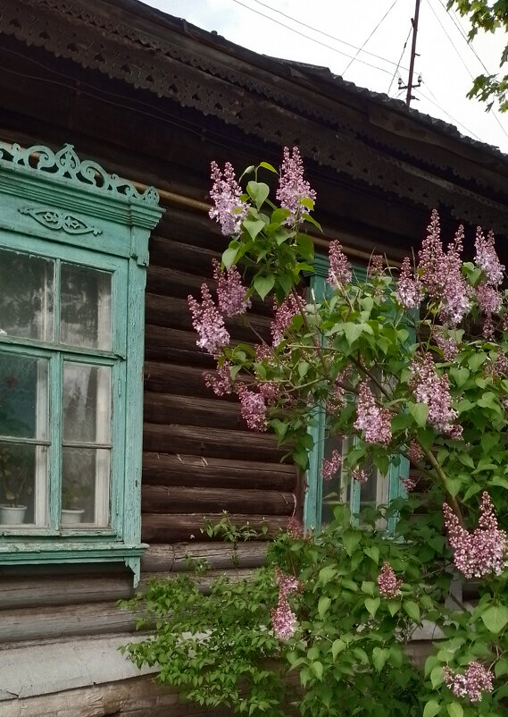 *** - Валентина Береснева