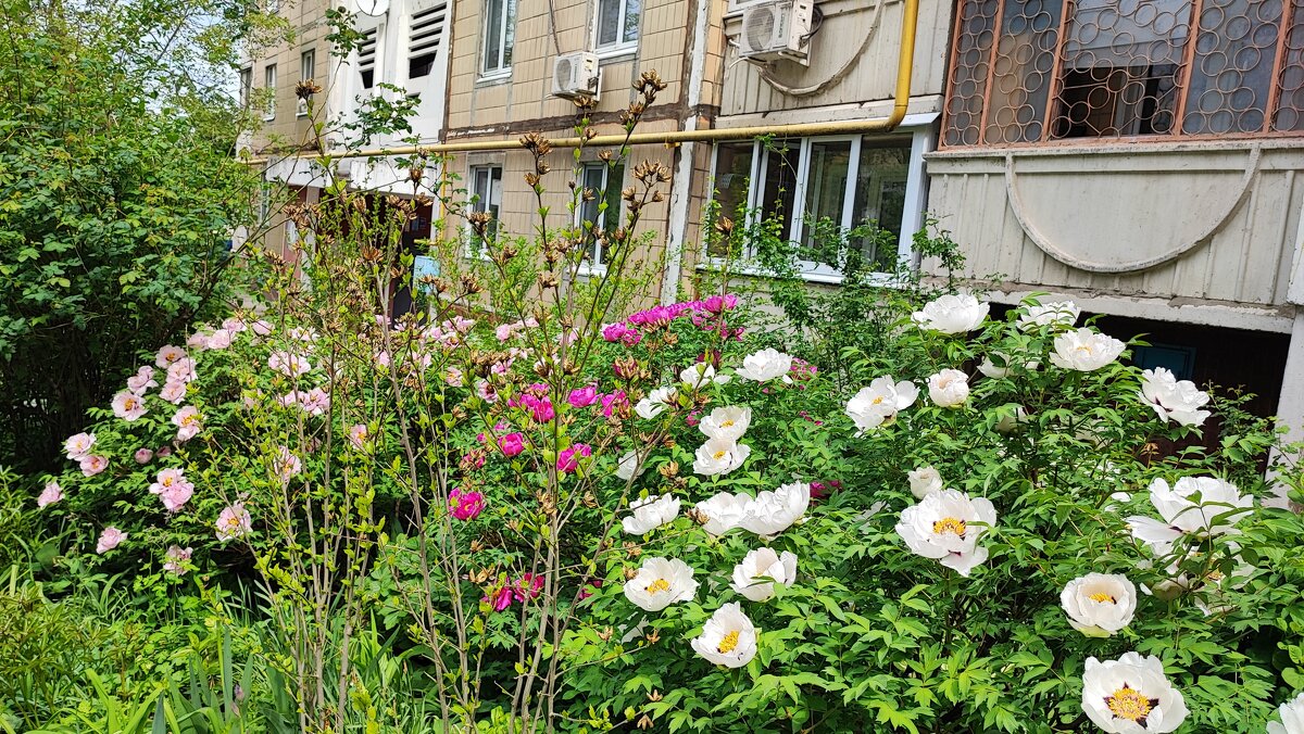 ,,, - Сергей Тимоновский