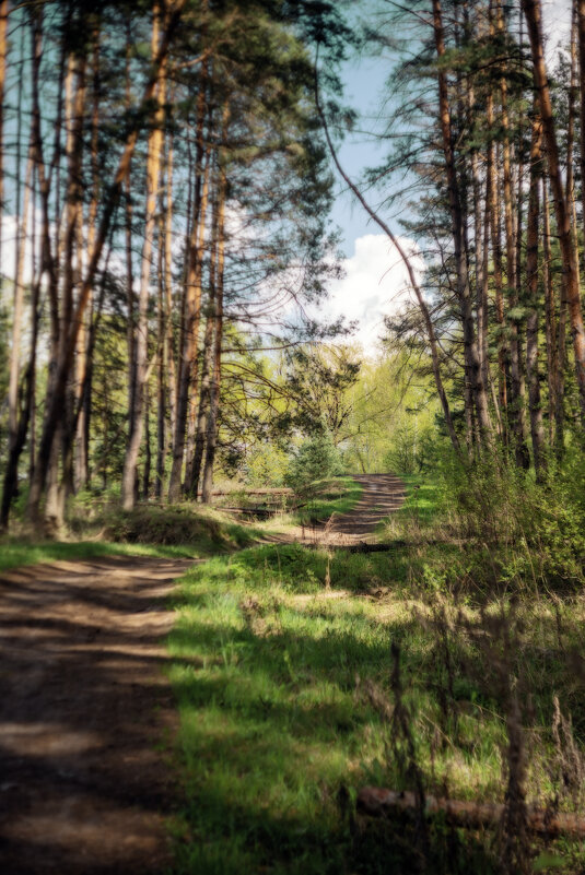 Тропа - sorovey Sol Тропа - sorovey Sol