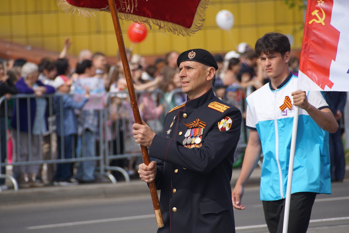 Знаменосец - Наталия Григорьева