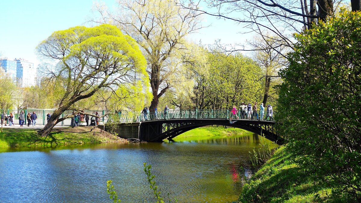 Любимый мостик... - Sergey Gordoff Любимый мостик... - Sergey Gordoff