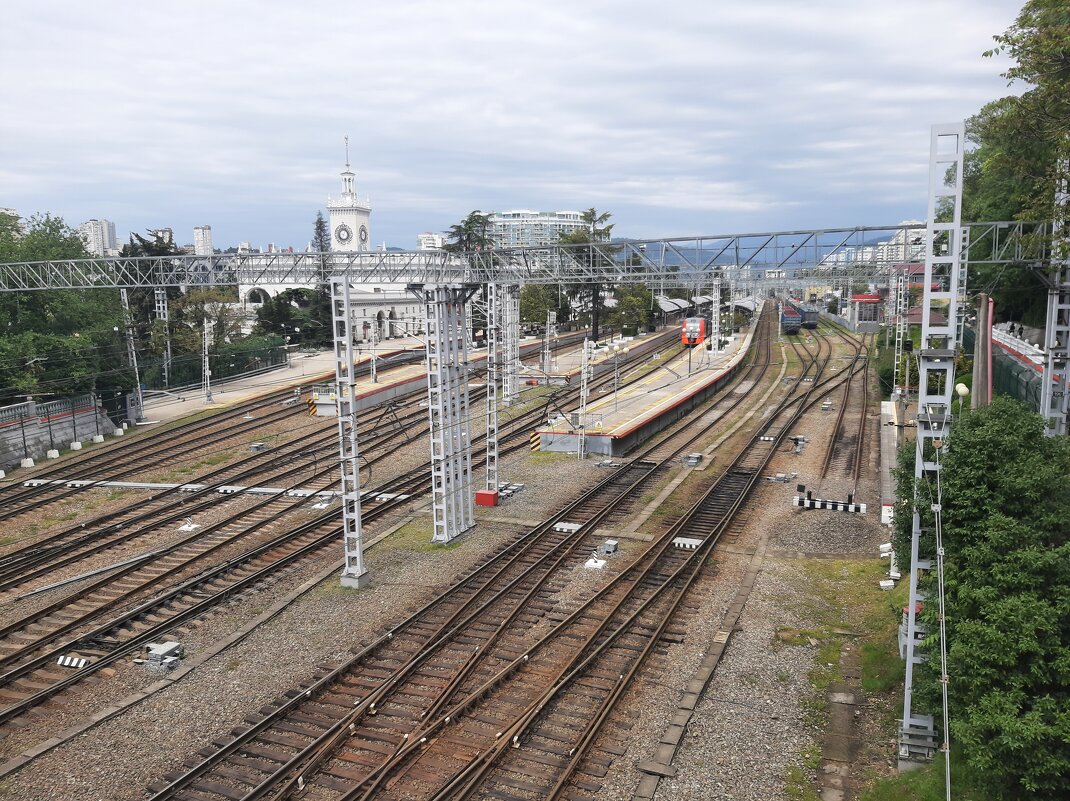 СОЧИ - Tata Wolf