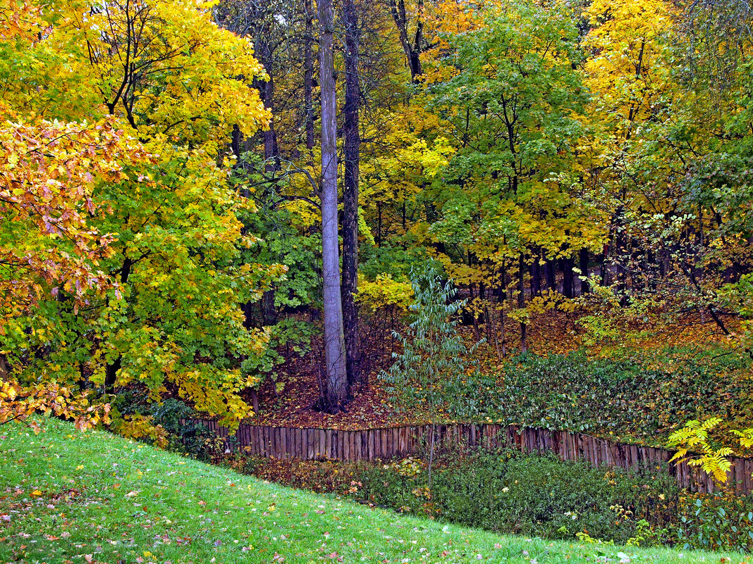 Царицыно - Игорь Белоногов Царицыно - Игорь Белоногов
