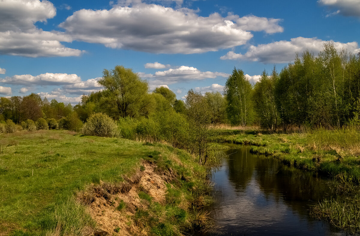 Однажды в мае - Андрей Дворников