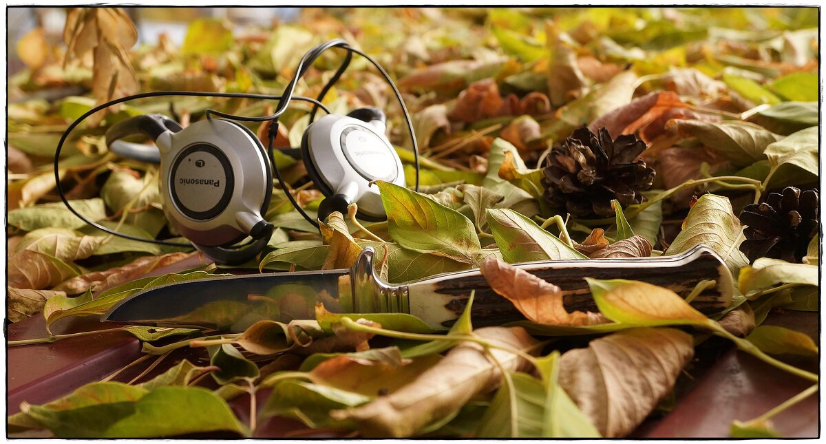 ... - ставил ... - ставил