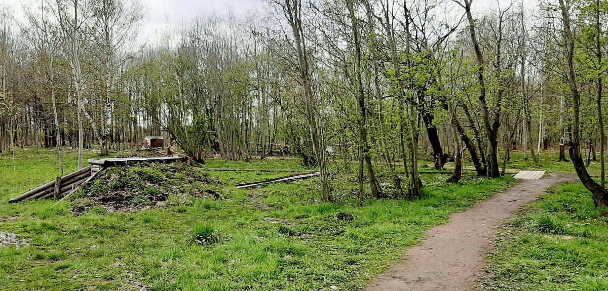 Участок оборонительного рубежа "Ижора" - Наталья Герасимова