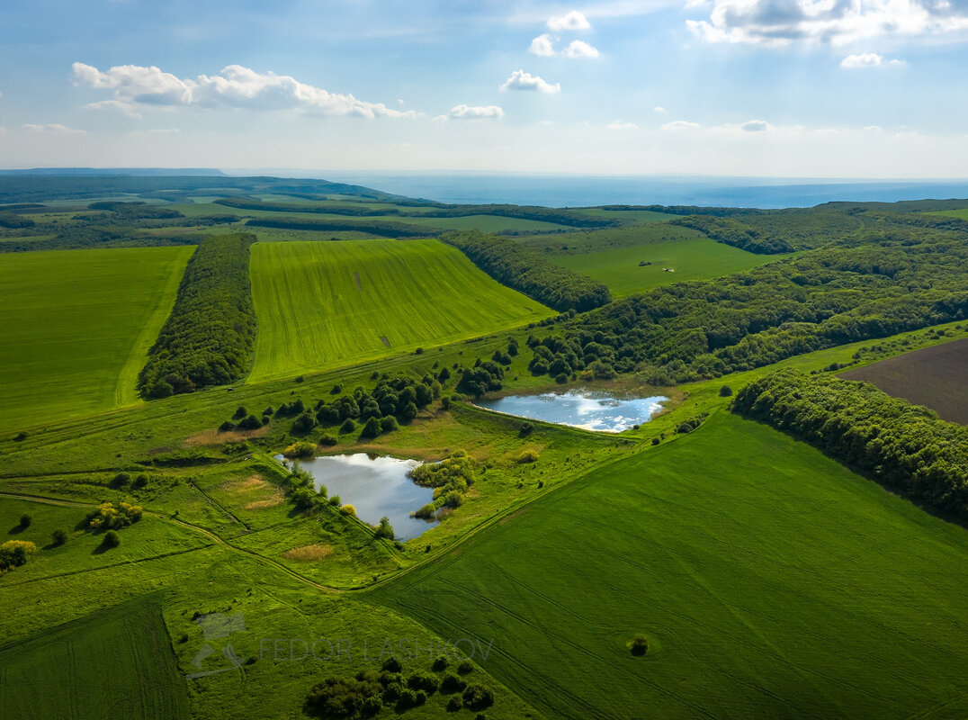 Из серии: «Многоликая земля» - Фёдор. Лашков